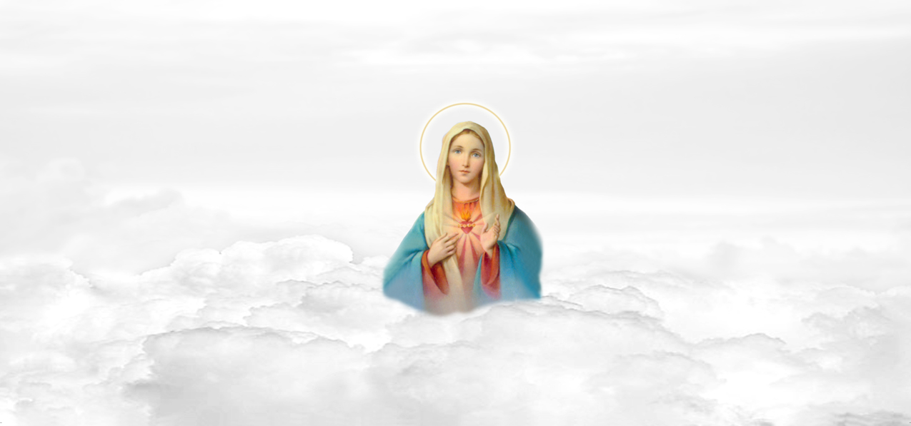 Immaculate Heart White